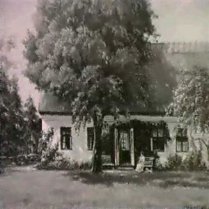 In The Garden by Hans Hilsoe