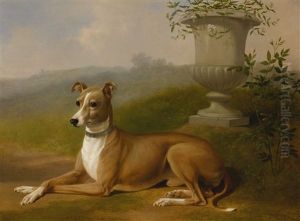 Portrait Of "rover"
