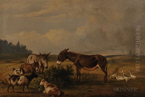 Donkeys, Goats, And Geese In A Field With A Distant Windmill - view 1