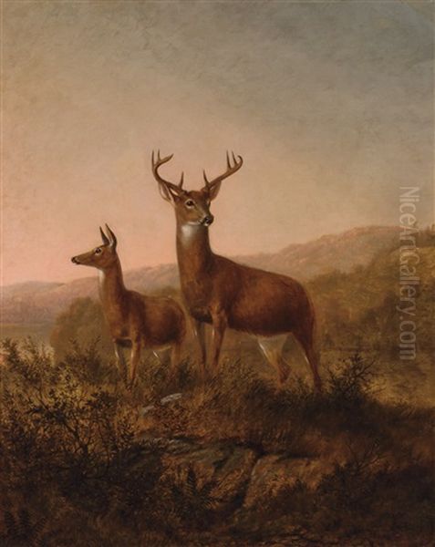 Two Deer At Sunset - view 1