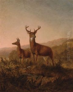 Two Deer At Sunset by Thomas Hewes Hinckley