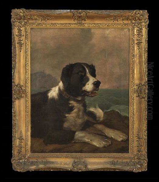 Portrait Of A Spaniel Looking Out To Sea - view 1