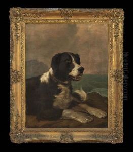 Portrait Of A Spaniel Looking Out To Sea Portrait Of A Spaniel Looking Out To Sea