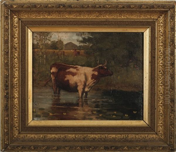 Cow Wading In A Stream - view 1