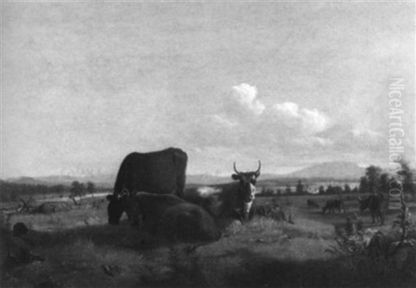Cows At Pasture, Near Springfield, Massachusetts - view 1
