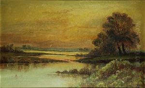 Sunset On The Marshes