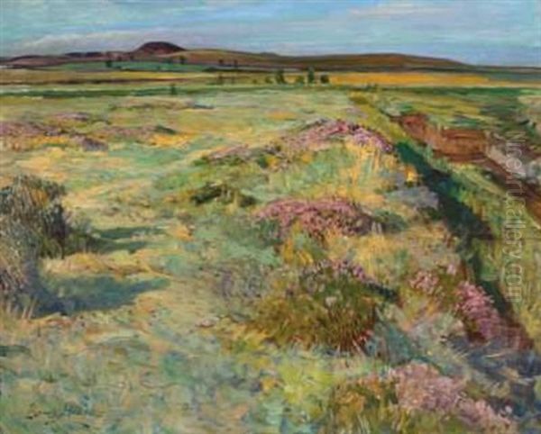 Landskap - view 1