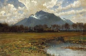 Nel Parcoca