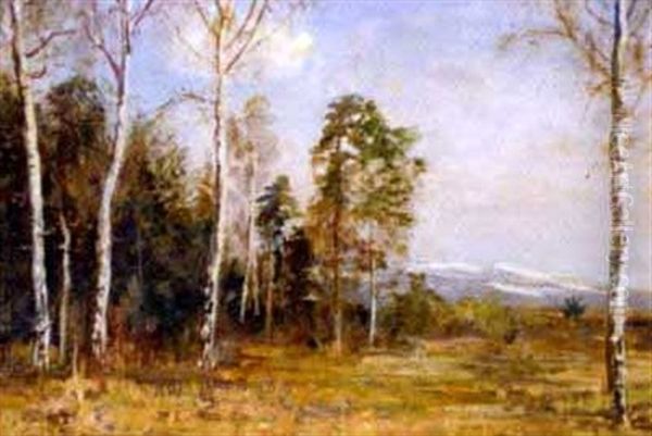 Salzburger Fruhlingslandschaft Mit Birken - view 1