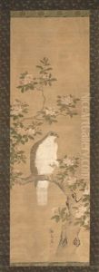 Hawk On A Flowering Tree Branch by Utagawa or Ando Hiroshige