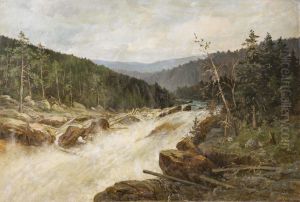 Gebirgsfluss Mit Wasserfall In Waldlandschaft by Adolf Hirsch