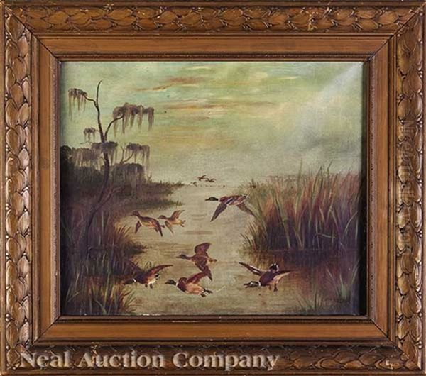 Mallard Ducks Flying Over The Louisiana Bayou - view 1