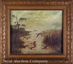 Mallard Ducks Flying Over The Louisiana Bayou