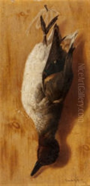 Waterfowl - view 1