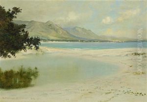 Hawaiian Coastal View by David Howard Hitchcock