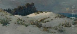 Hawaiian Shoreline by David Howard Hitchcock