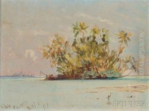 Palmyra Island by David Howard Hitchcock