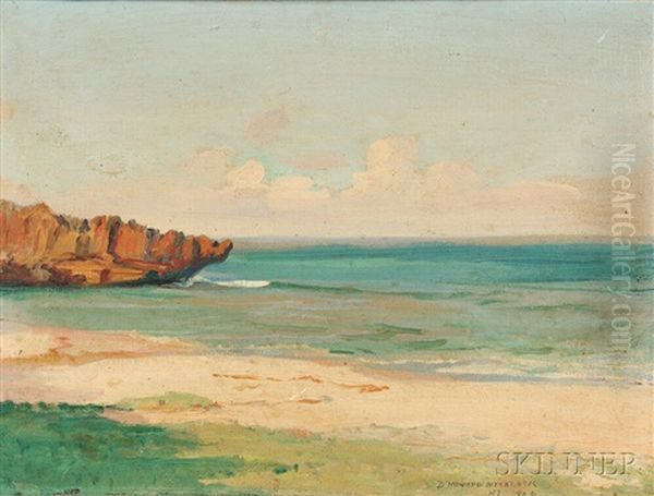 Hawaiian Beach - view 1