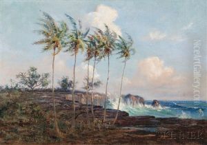 Big Island Of Hawaii by David Howard Hitchcock