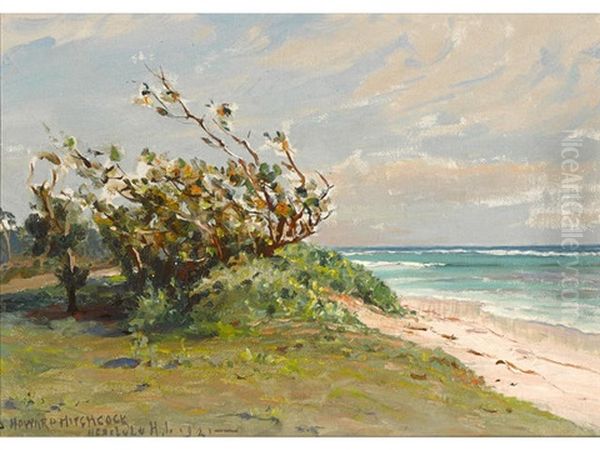 Peaceful Shore, Honolulu - view 1