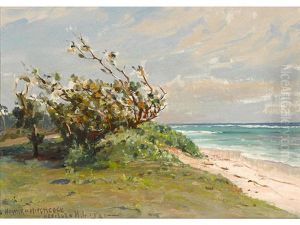 Peaceful Shore, Honolulu by David Howard Hitchcock