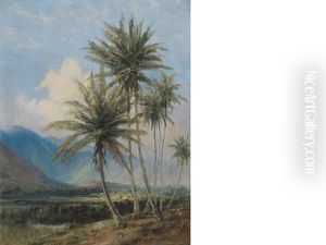 Coconut Palms, Manoa Valley From Kewalo