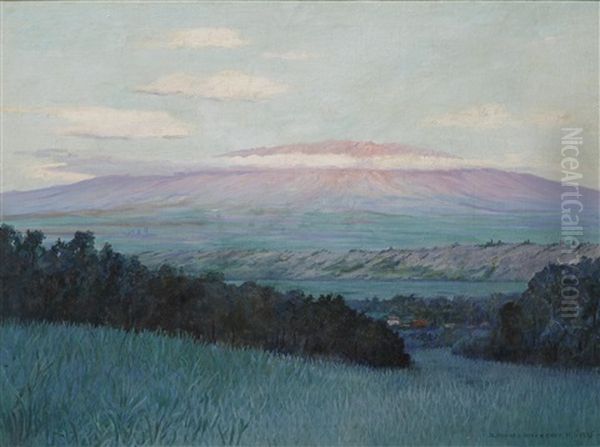 View Of Haleakala, Maui - view 1