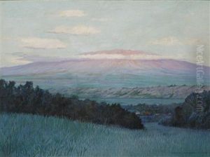 View Of Haleakala, Maui by David Howard Hitchcock