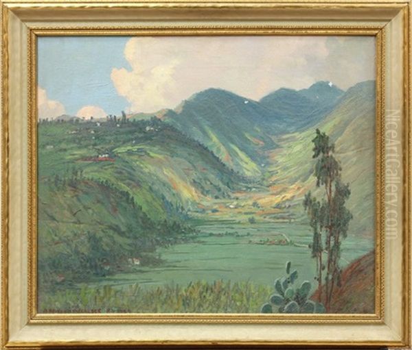 View Of Hawaiian Valley - view 1