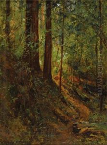 Forest Scene, June 21 by David Howard Hitchcock