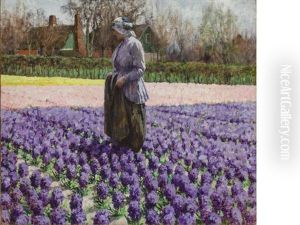 A Field Of Hyacinths, Holland by George Hitchcock