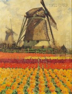 Tulip Fields With Windmill