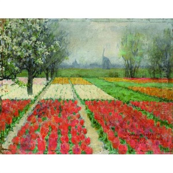 A View Of Tulip Beds In Bloom, Holland - view 1