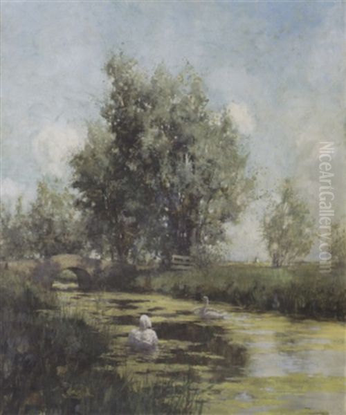 Swans By A Bridge, Holland - view 1
