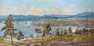 Blick Auf Oslo