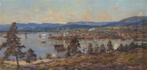 Udsigt Over Oslo