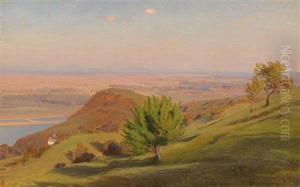 Danube Landscape Near Vienna - view 1