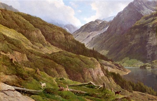 Gebirgslandschaft Mit Weidenden Ziegen - view 1