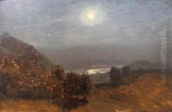 Landscape At Night - view 1