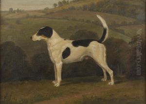 Forager, A Hound by James Barenger