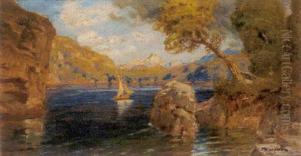 Motiv Am Luzerner See (schweiz) - view 1