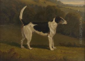 Rambler, A Hound by James Barenger