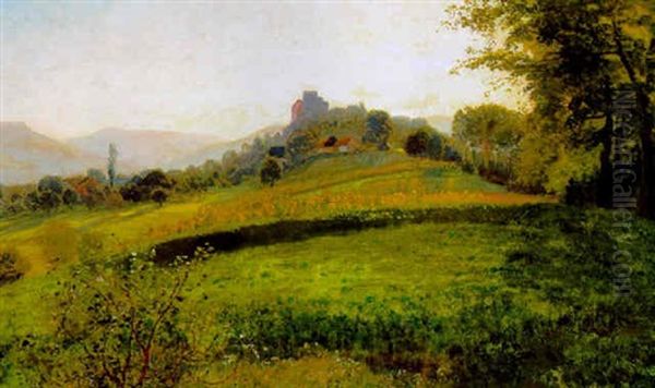 Blick Auf Die Habsburg In Der Schweiz - view 1