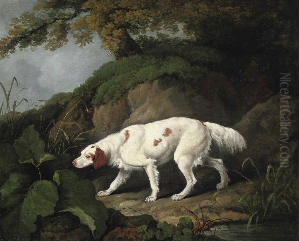 A Setter In A Wooded Landscape - view 1
