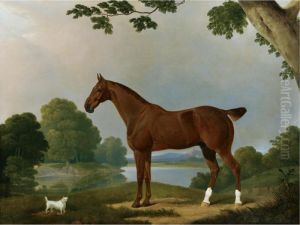 Aconbury, A Hunter, And Coaxer, A Terrier, In A Landscape