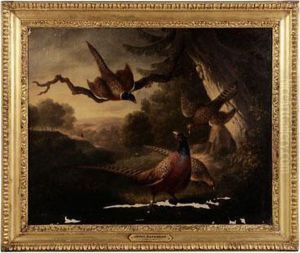 Pheasants In An Opening Pheasants In An Opening