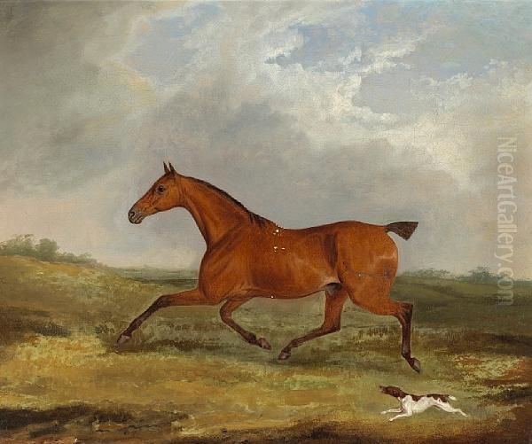 A Bay Hunter With A Terrier In Alandscape - view 1