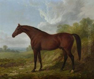 Das Pferd "rubens". by James Barenger
