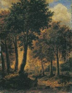 Waldlandschaft Mit Wanderer