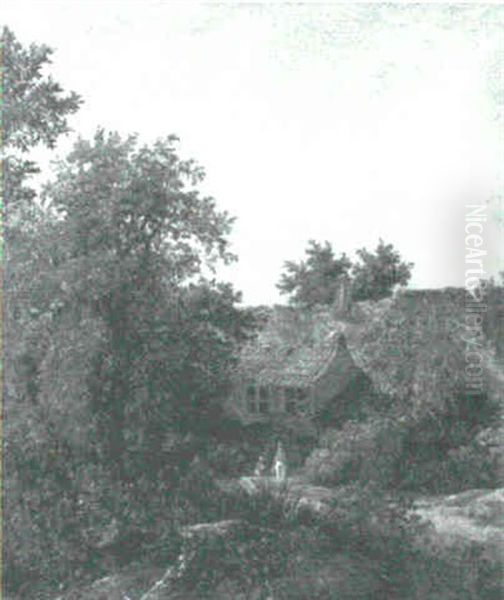 Forest Landscape - view 1